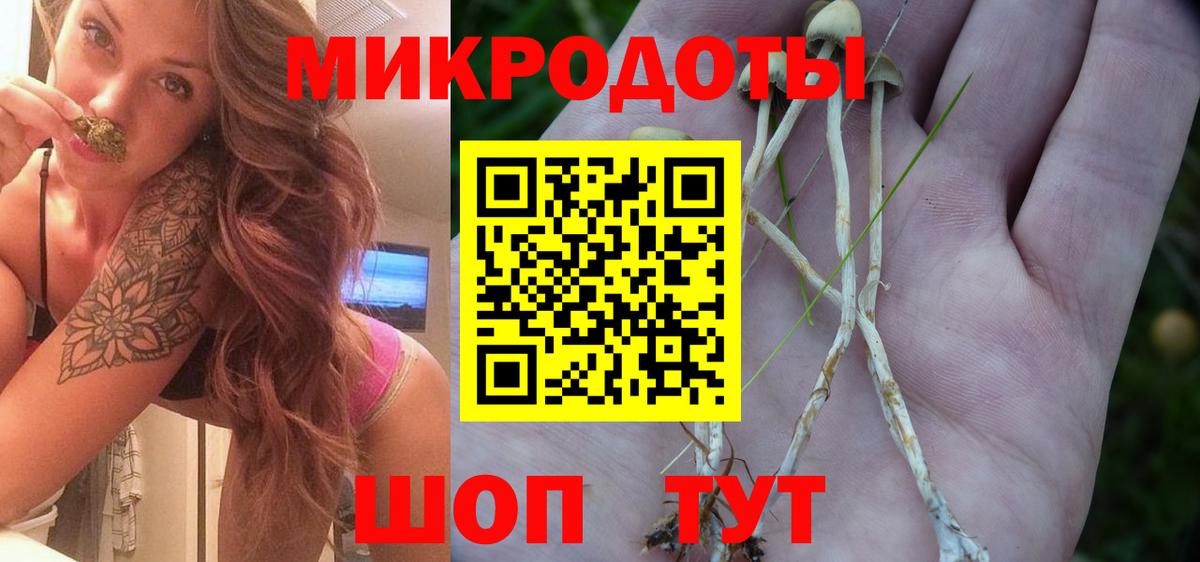 Галлюциногенные грибы Psilocybine cubensis  Галлюциногенные грибы Psilocybine cubensis  Вход с VPN  где купить наркоту  Москва 
